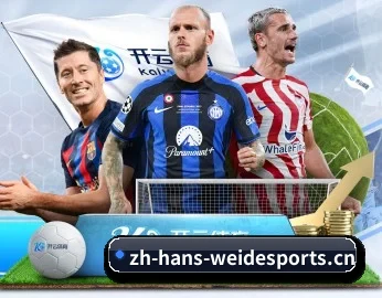 关于我们 - 体育资讯内容服务（WEIDE SPORTS）